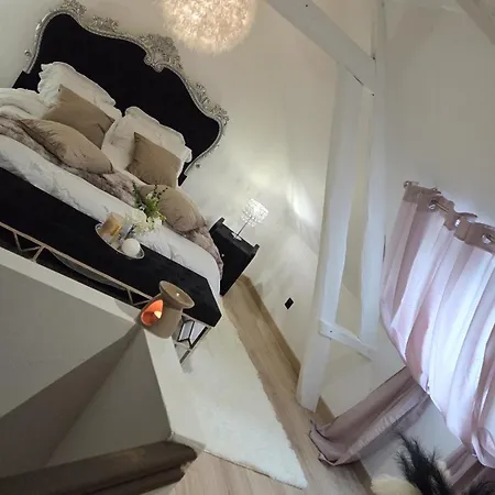 Le Cocoon De Choupette